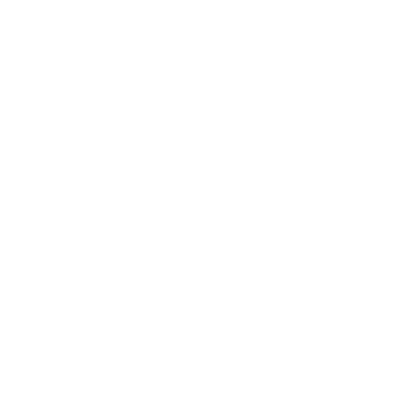 Remote Control Enterprises